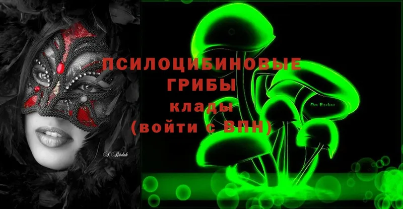 Псилоцибиновые грибы Psilocybe  Котово 